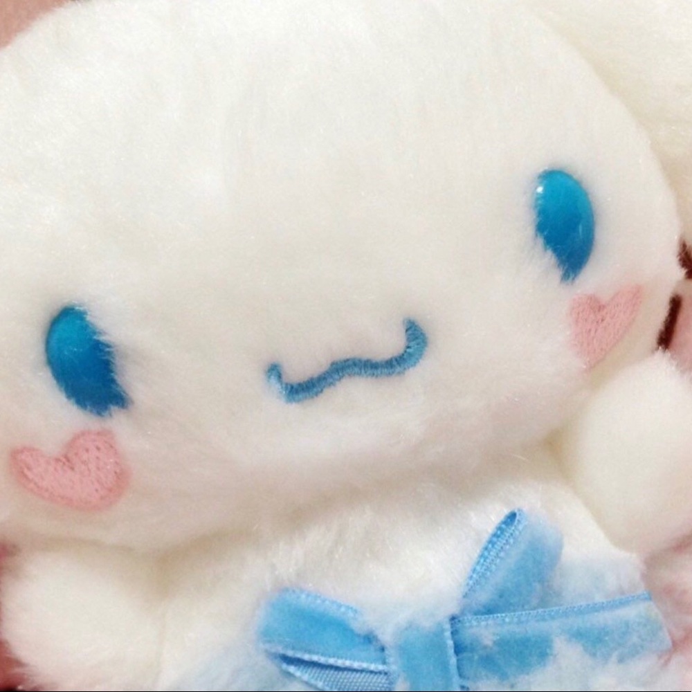 Meet your Posher, Sanrio